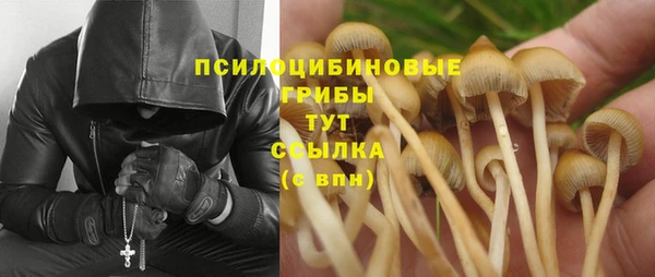 молекула духа Саяногорск