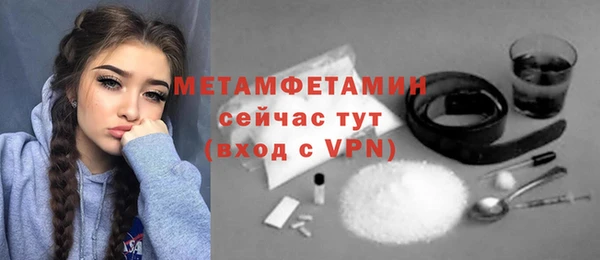 прущие грибы Бронницы