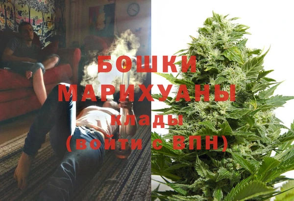 молекула духа Беломорск